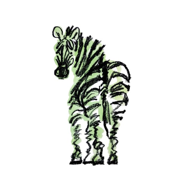 zebra（シマウマ）